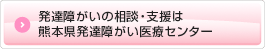 熊本 発達障がい　相談・支援 ｜ 熊本県発達障がい医療センター